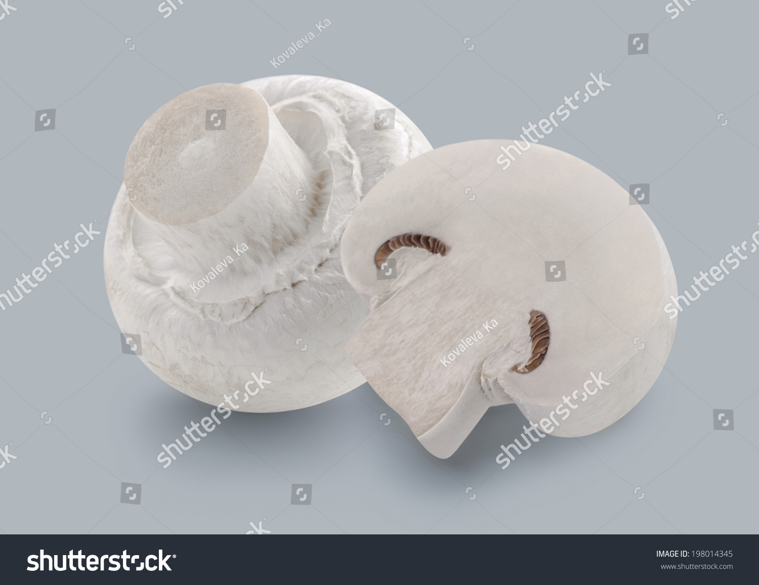 Button mushroom champignons isolated on grey background for package design #198014345