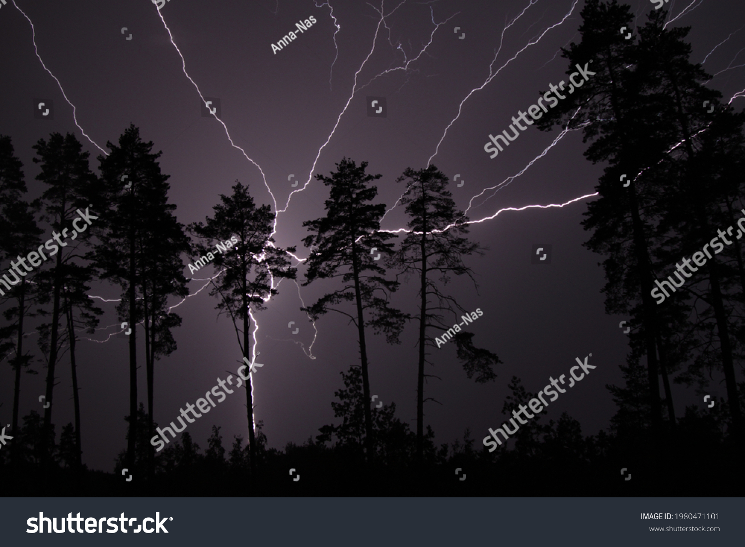 Thunderbolt, lightning bolt in the night sky #1980471101