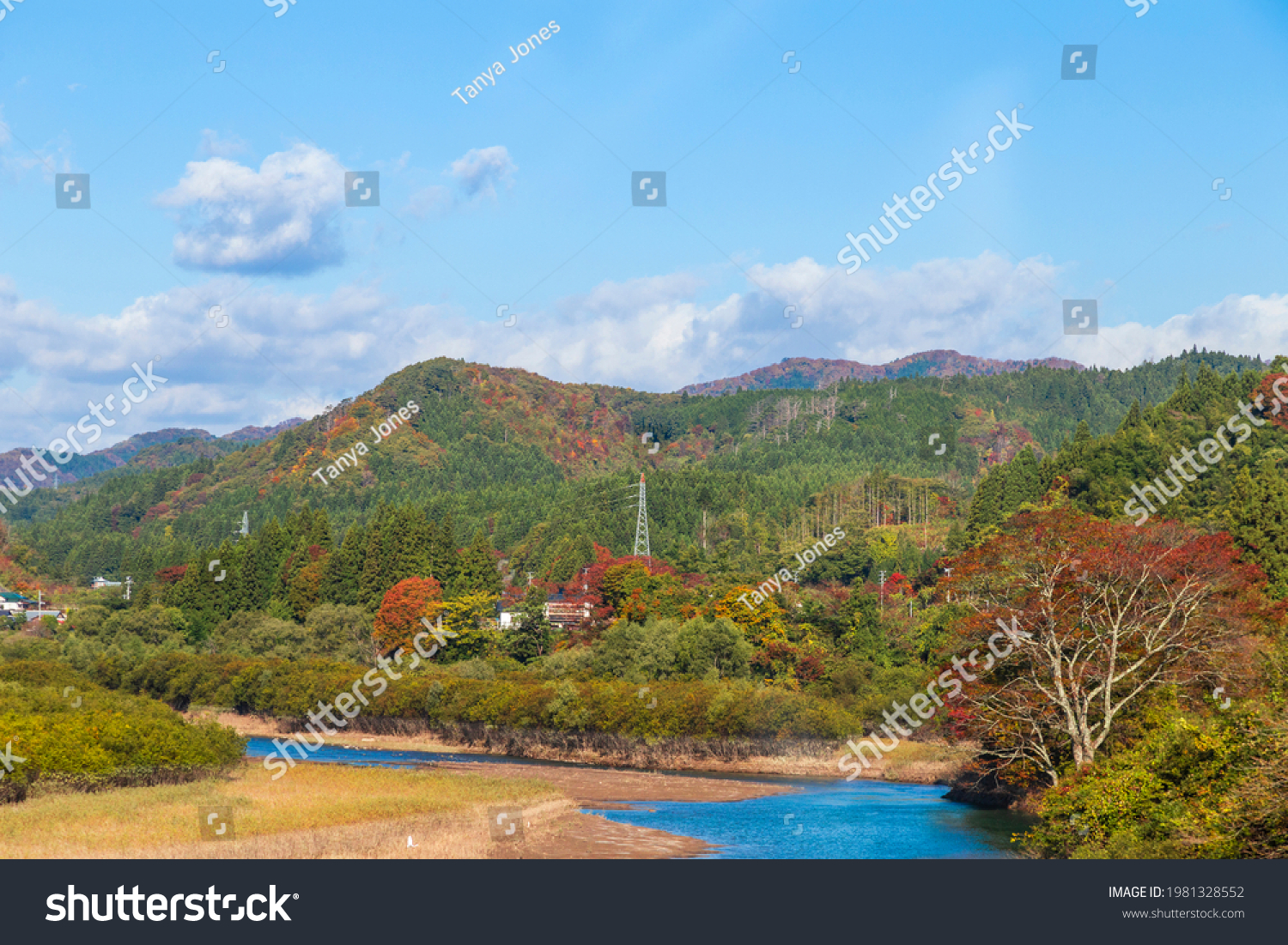 Autumn forest scenery with rural road in Miyagi prefecture, Tohoku, Japan. #1981328552