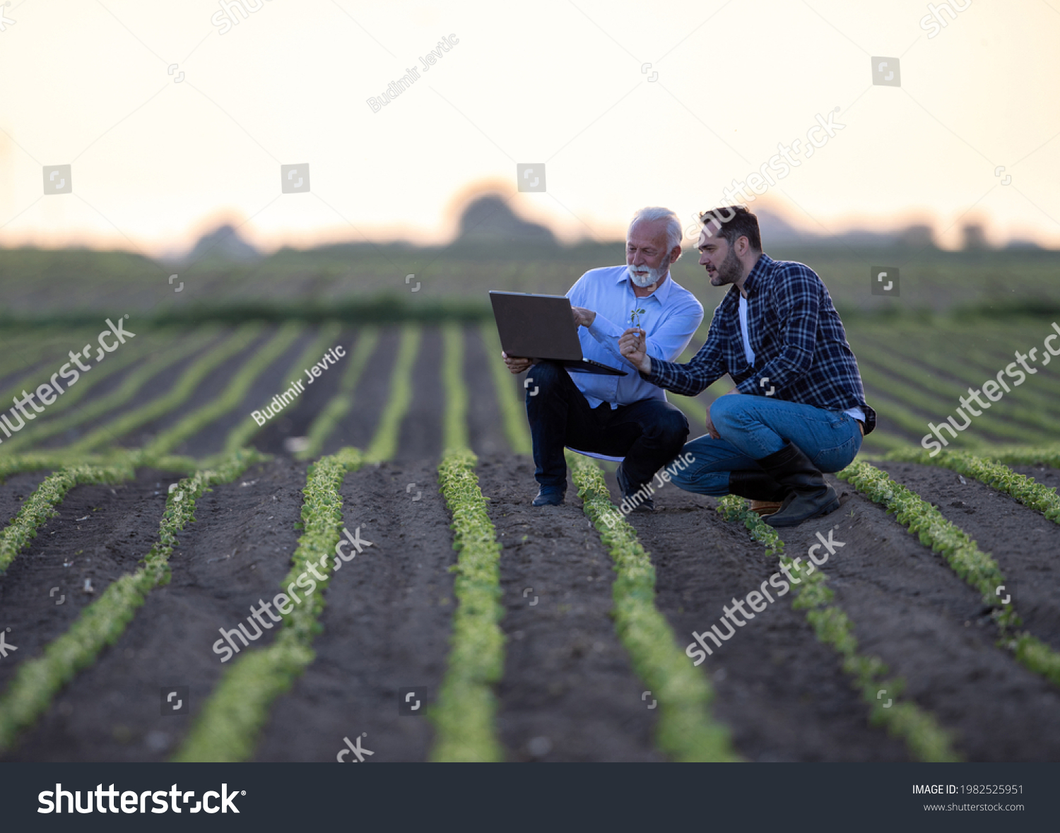 Two men crouching in soy field using computer. Farmer and businessman looking at sprout, pointing explaining using modern technology computer in agriculture.  #1982525951