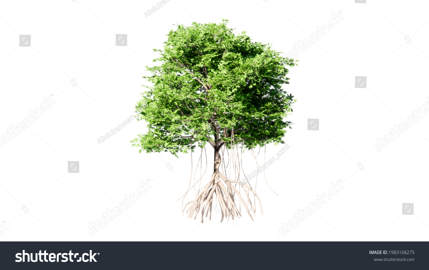 SIDE VIEM OF ISOLATED GREEN MANGROVE TREE #1983168275