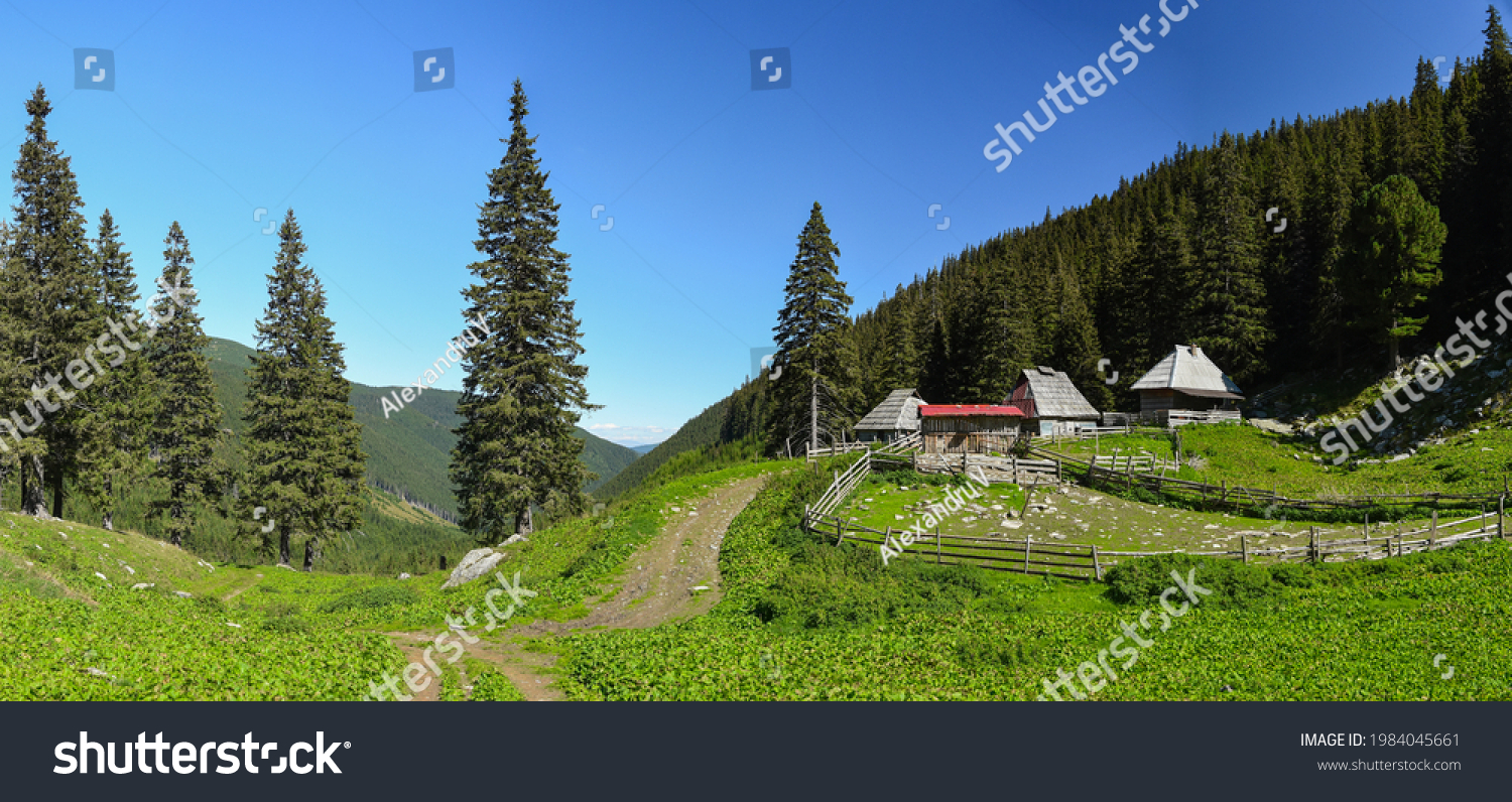 A rustic wooden sheepfold positioned in an alpine pasture, near a spruce forest in Retezat Massif. A wooden fence encloses a yard were all the sheep are kept. Traditional breeding, Carpathia, Romania. #1984045661