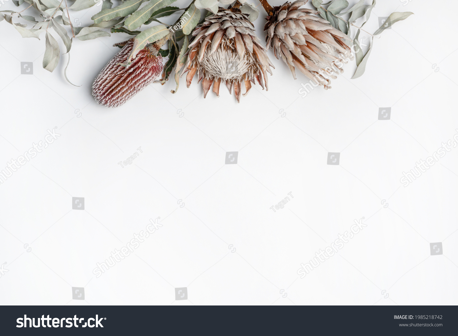 Beautiful dried flower decorative arrangement including Eucalyptus leaves,  King Protea and Banksia flowers in red, pink and purple on a white background, photographed from above. #1985218742