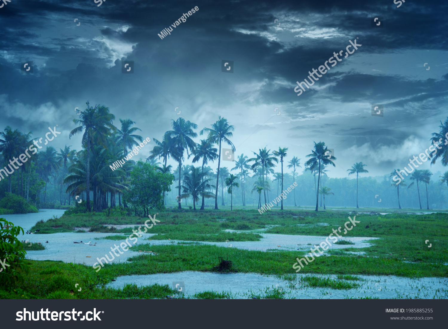 Cloudy sky over beautiful flood plain landscape, River landscape, Beautiful summer landscape with cloudy sky, Flood plain of beautiful river. Nature Beautiful Scenery Kerala India #1985885255
