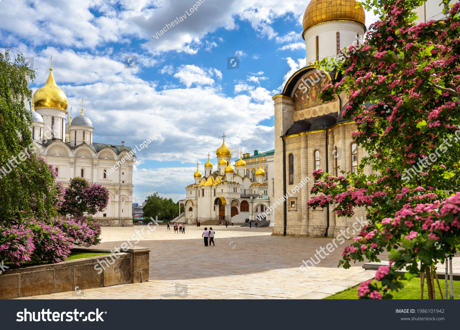 Inside Moscow Kremlin, Russia. Nice panorama of Dormition, Archangel and Annunciation cathedrals, old Russian churches in Moscow city center. Theme of bloom, landmarks and travel in summer Moscow. #1986101942