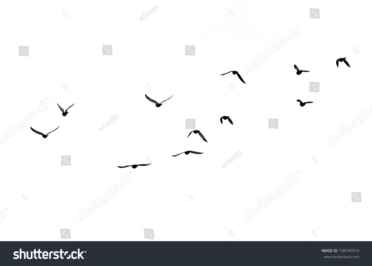 flock of birds on a white background #198745910