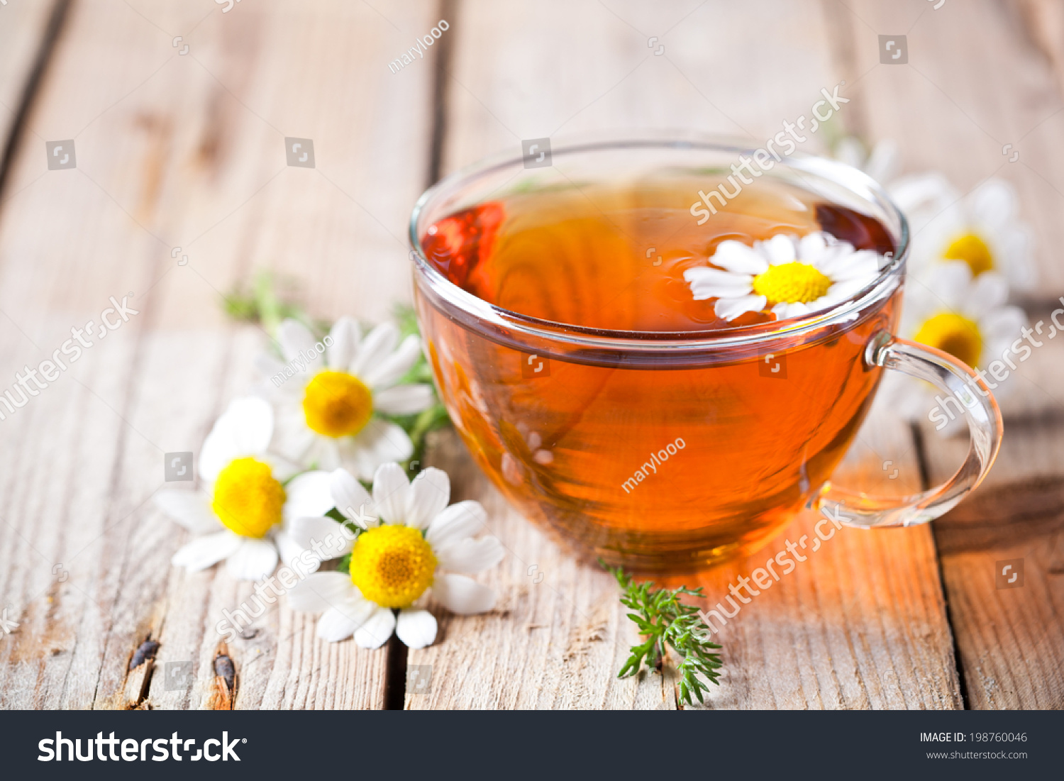 cup of tea with chamomile flowers on rustic wooden background #198760046
