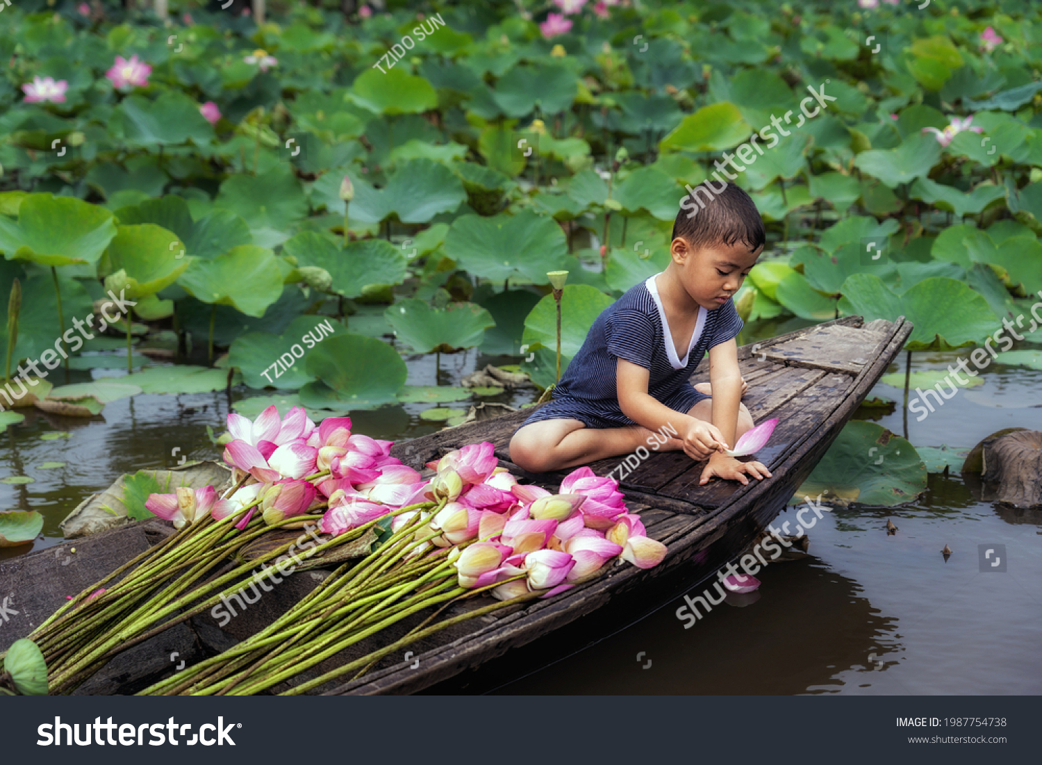 Vietnamese boy playing with pink lotus leaf when his mom boating the traditional wooden boat in the big lake at thap muoi, dong thap province, vietnam, culture and life concept #1987754738
