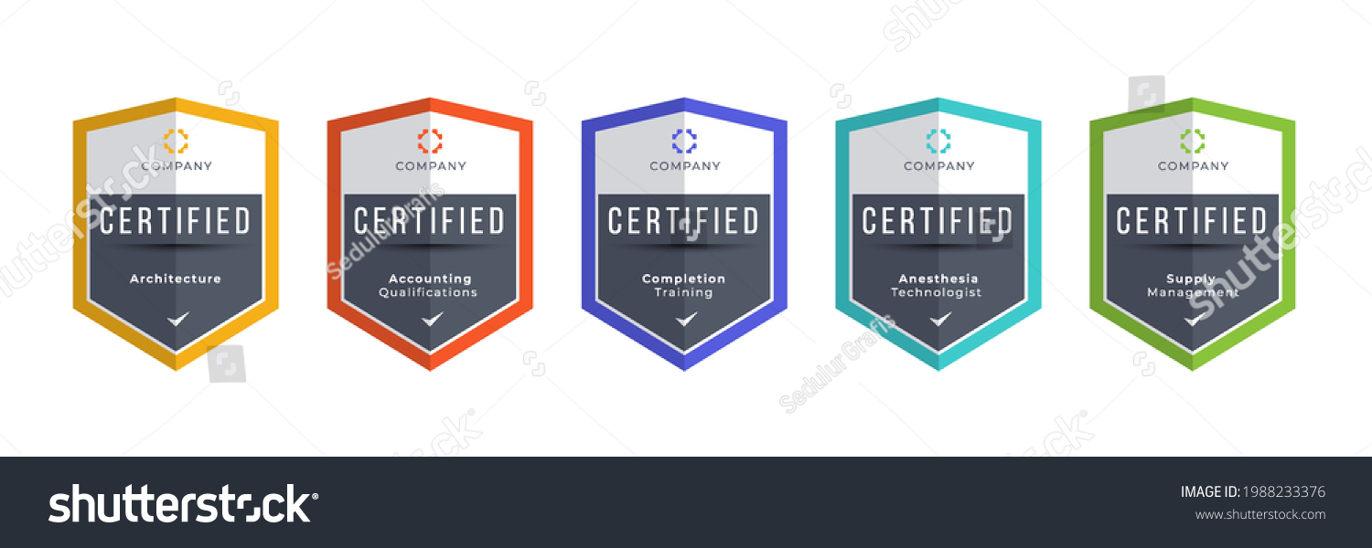 Certified logo badge. Criteria level digital certificate with shield logo line. vector illustration icon secure template. #1988233376