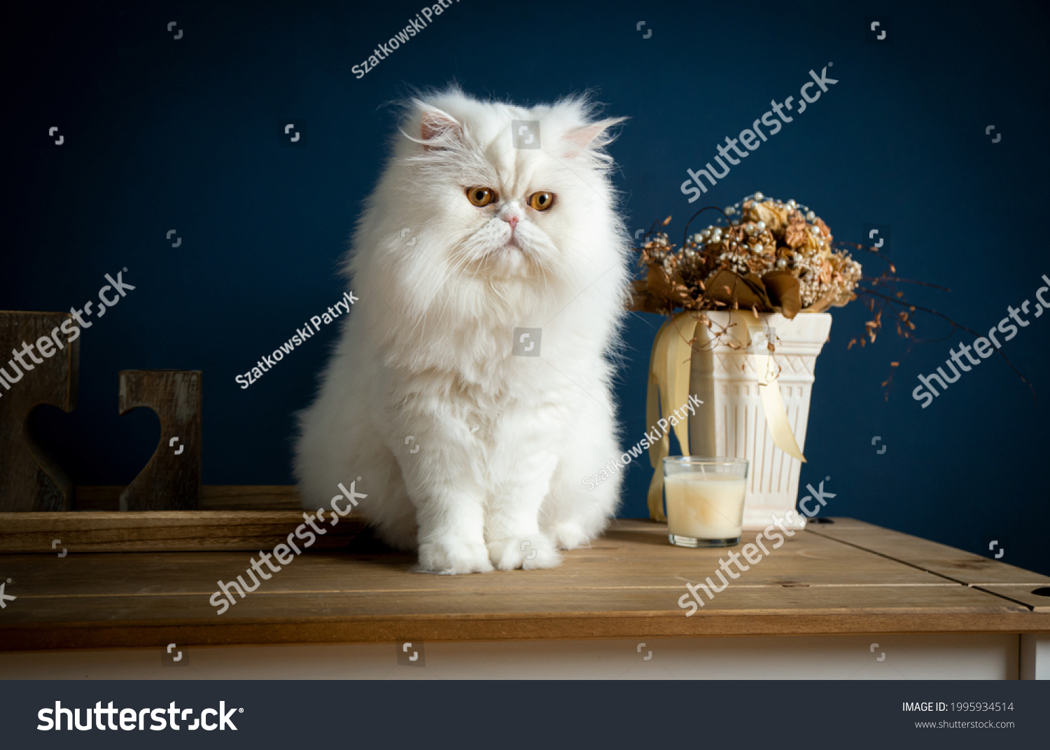 A white Persian cat sitting on a rustic table. You see a blue background and some flowers and a candle. The cat has brown eyes. #1995934514