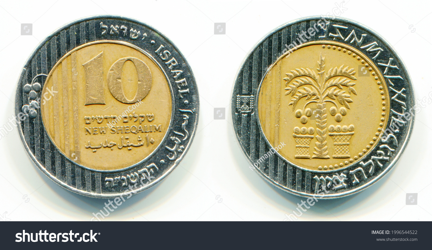 Israeli 10 New Shequalim Bimetallic coin 1995 year. The coin shows Palm tree between two baskets, Redemption of Zion, Israel #1996544522