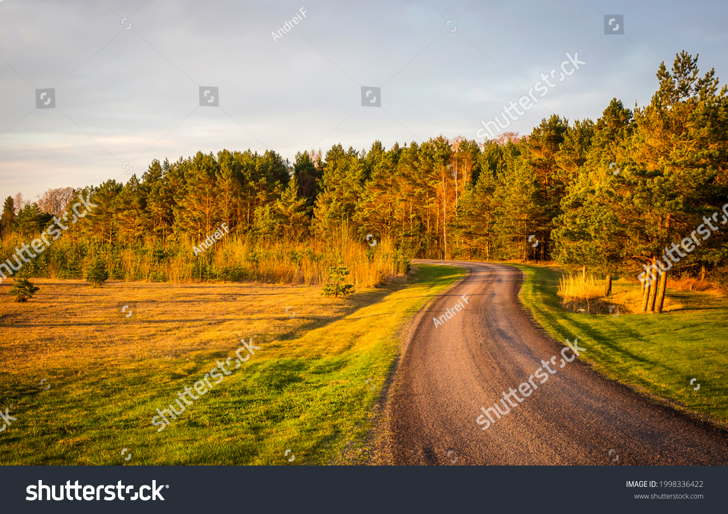 Rural road on an autumn day. Autumn road through a rural field landscape #1998336422