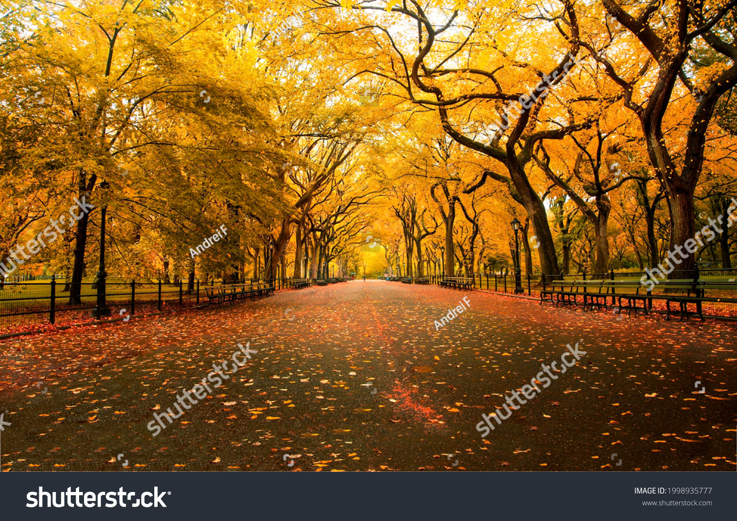 Autumn city alley landscape. Pathway in beautiful autumn city background #1998935777