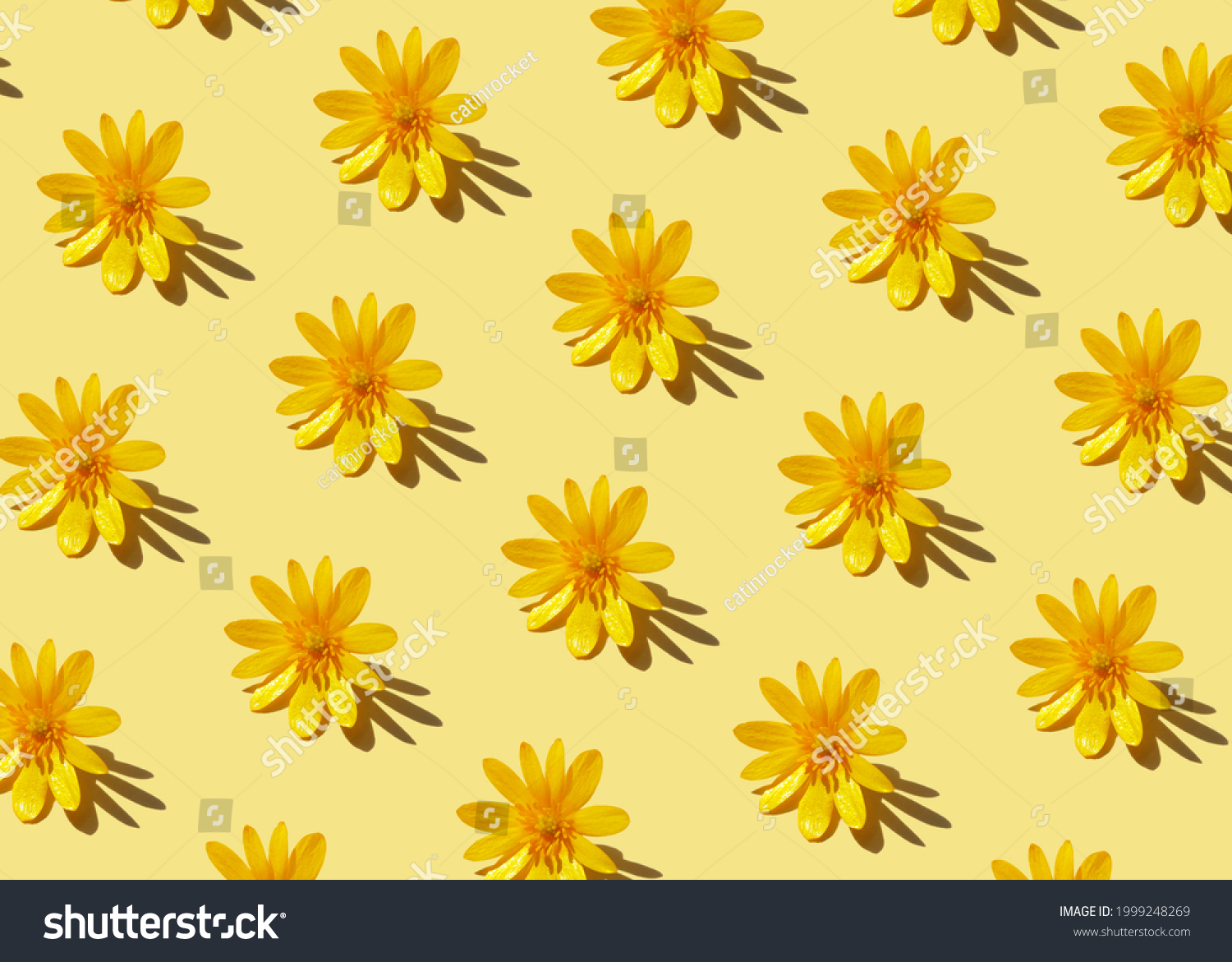 Trendy hard shadow sun light yellow dandelion or chamomile daisy flower on a pastel background. Isometric hot summer or fall seamless pattern wallpaper design. Minimal warm playful funky 90's concept. #1999248269