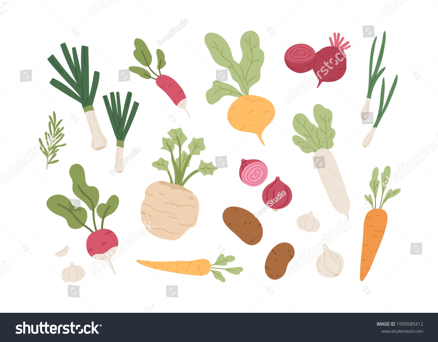 Fresh organic root vegetables. Set of healthy farm food. Carrot, onion, radish, daikon, garlic, beet and potato tubers. Summer harvest. Colored flat vector illustration isolated on white background #1999585412