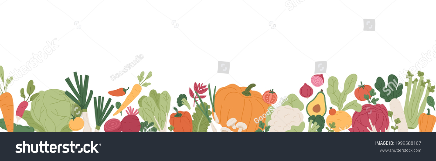 Fresh vegetables and greens border. Banner with healthy organic farm food. Natural veggies of summer and autumn seasons. Colored flat vector illustration of fall harvest isolated on white background #1999588187