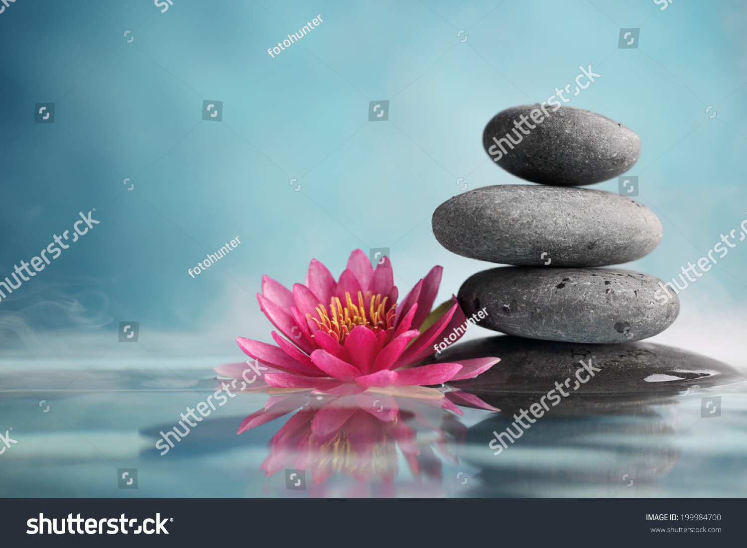 Spa still life with water lily and zen stone in a serenity pool #199984700