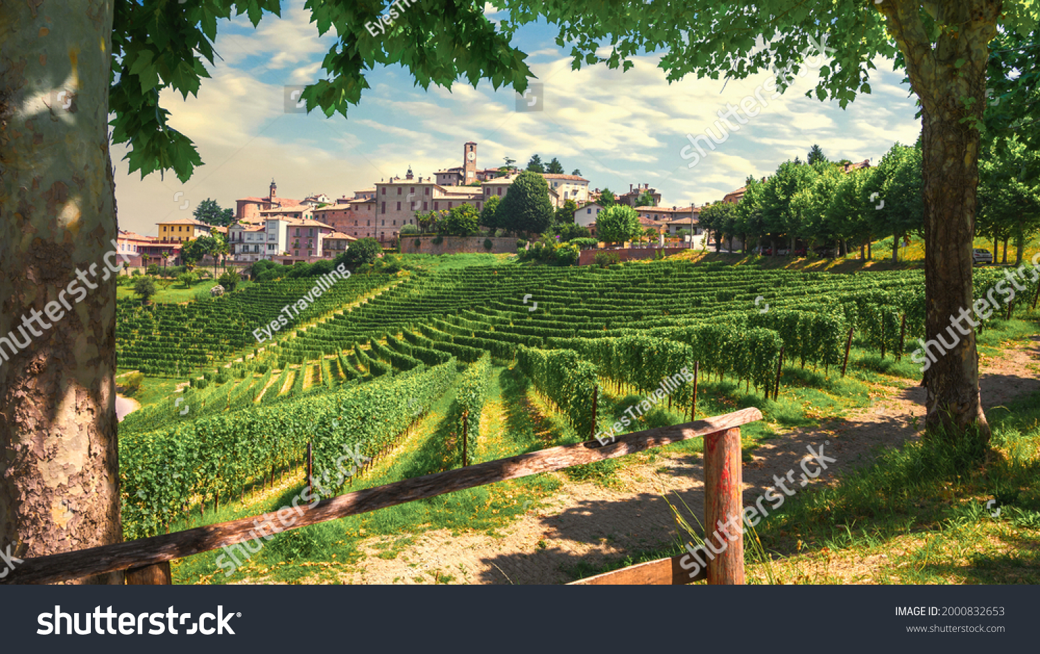 Neive village and Langhe vineyards, Unesco Site, Piedmont, Northern Italy Europe. High quality photo #2000832653
