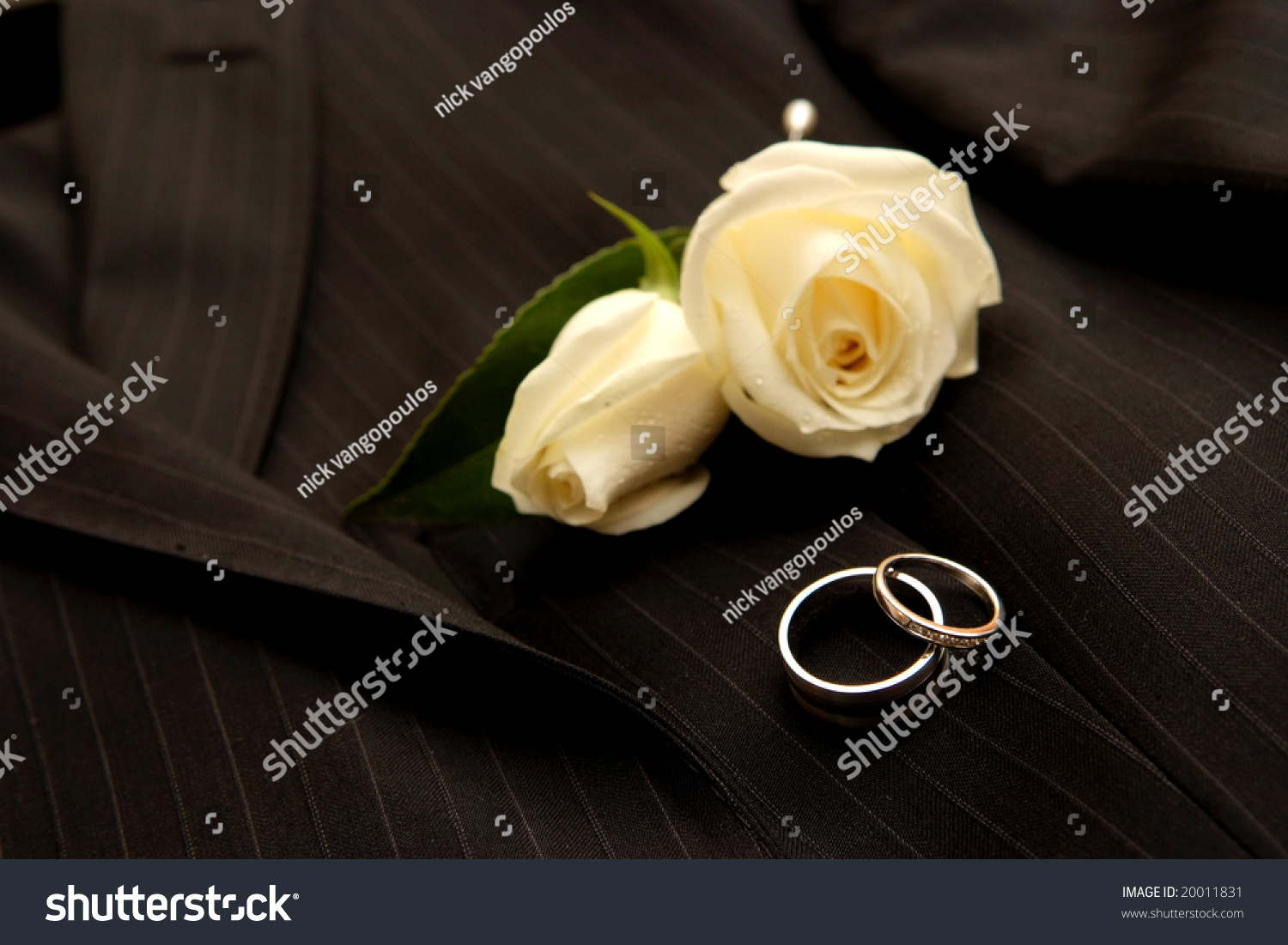 Wedding rings & boutonniere #20011831