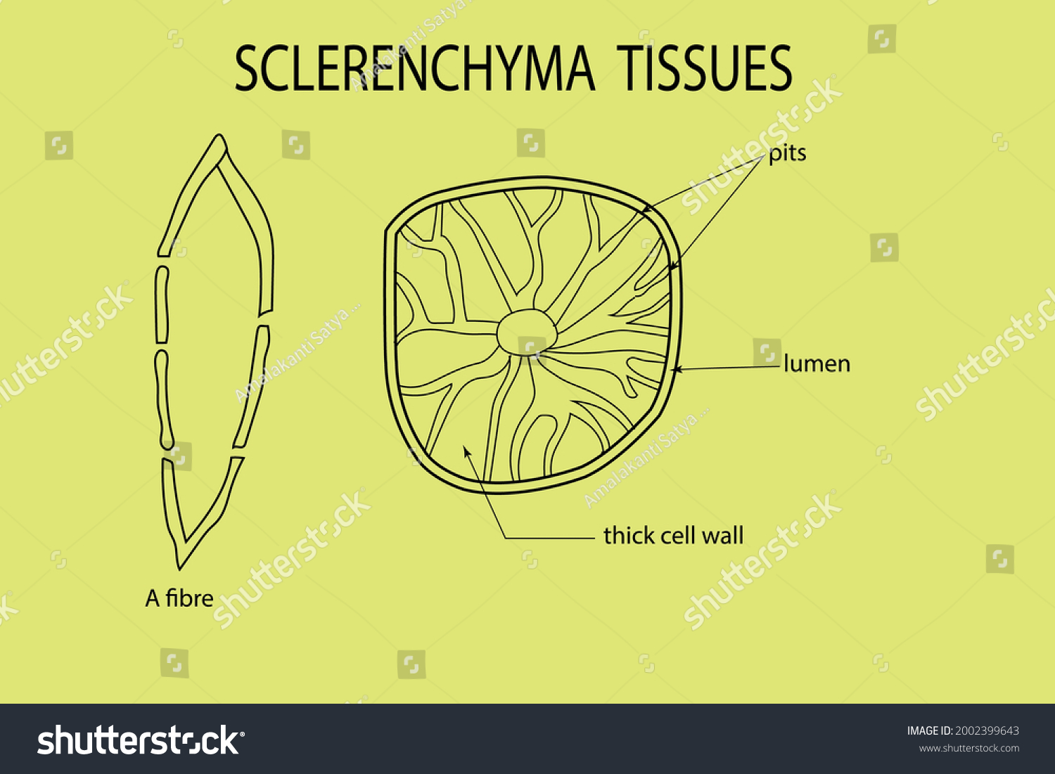 vector-diagram-to-show-the-line-diagram-of-royalty-free-stock-vector