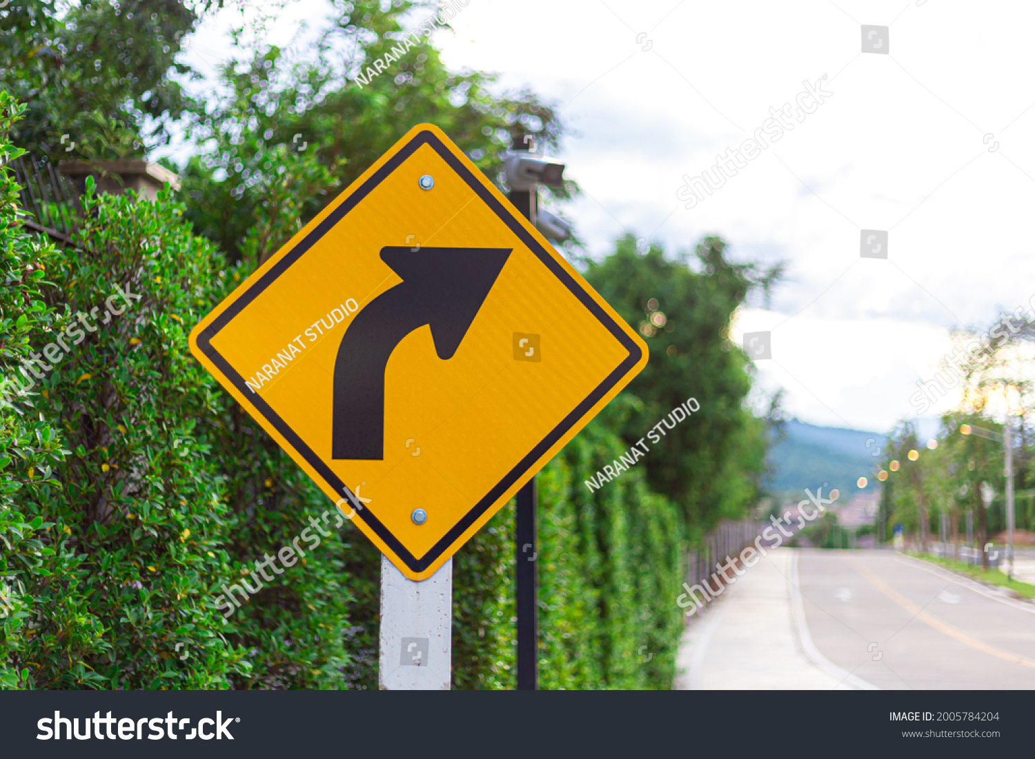 There is a sign indicating a right turn on the roadside and there is a green wall of trees. #2005784204