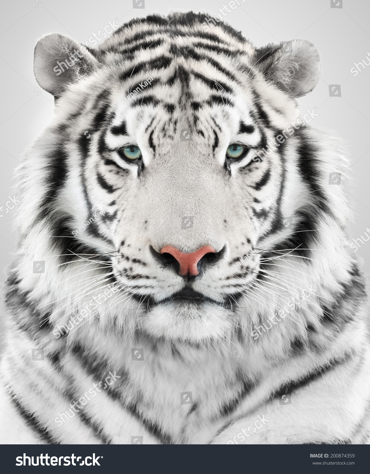 White tiger #200874359