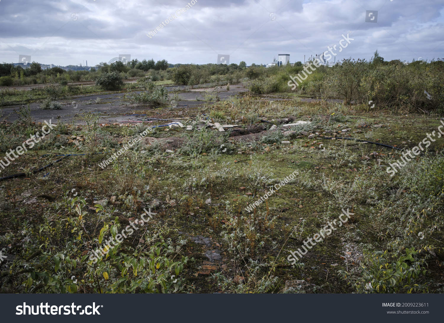 Brownfield land, site of former pesticide factory, recently demolished, and awaiting remediation and redevelopment  #2009223611