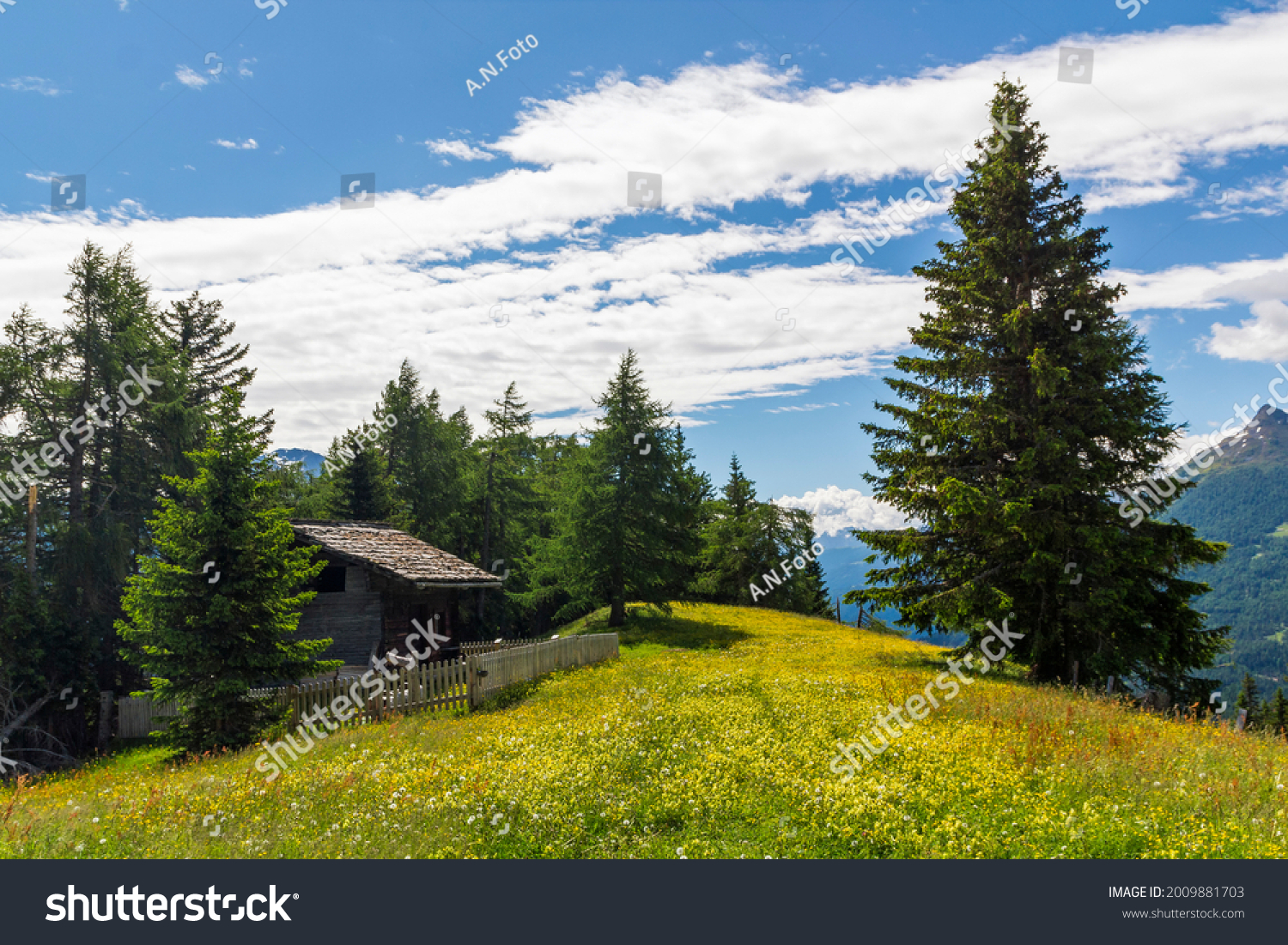 an old mountain hut in the middle of an beautiful grassland at the national park hohe tauern next to Matrei, Osttirol Austria  #2009881703