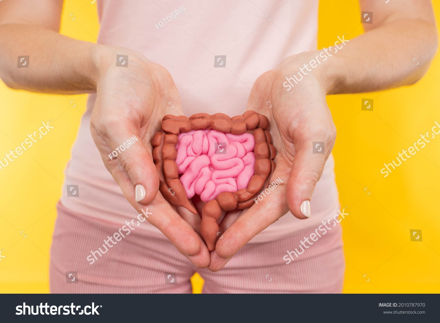Health of the intestinal tract. Intestinal tract in hands of a woman. She demonstrates it in front of her. Gastrointestinal tract health care concept. Health of digestive human organs. #2010787970