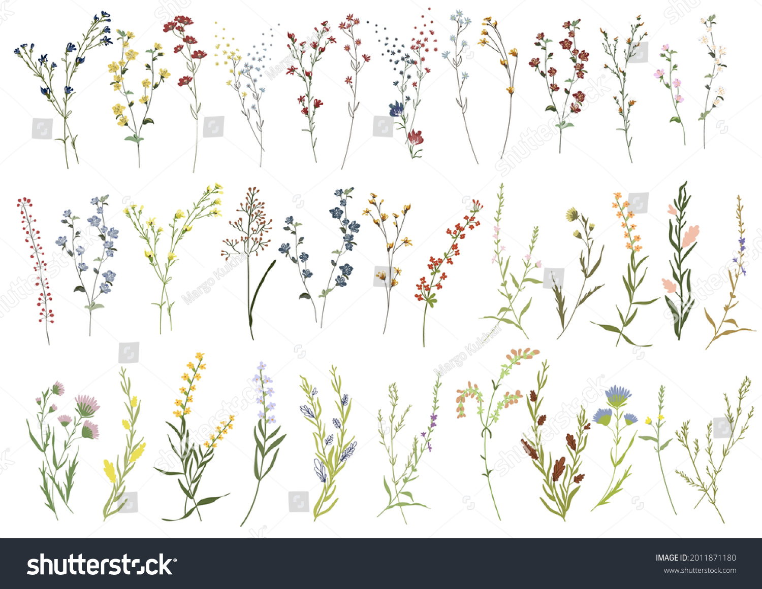 Big set botanic blossom floral elements. Branches, leaves, herbs, wild plants, flowers. Garden, meadow, field collection leaf, foliage, branches. Bloom vector illustration isolated on white background #2011871180