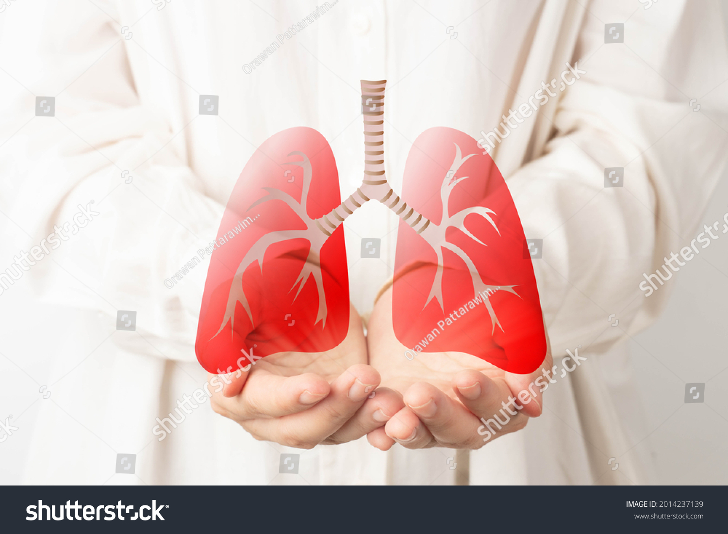Human hands holding lung organ symbol. Awareness of lung cancer, pneumonia, asthma, COPD, pulmonary hypertension, world no tobacco day and eco air pollution. Respiratory and chest concept. #2014237139
