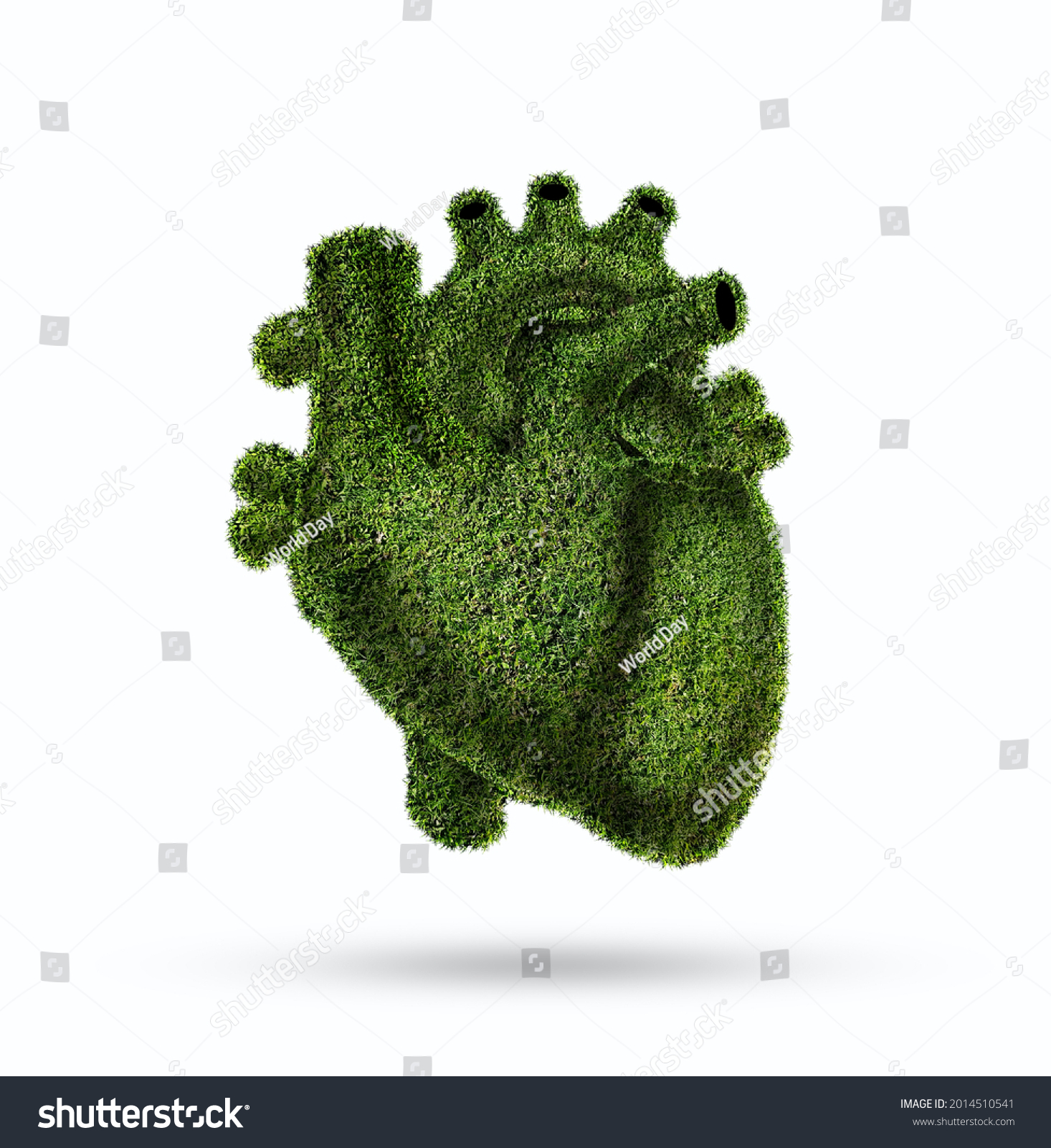 Conceptual image of green grass shaped like human heart, Green grass shaped in human heart. Conceptual image, Humanheart. Respiratory system. Healthy heart. grass human heart, vegetable #2014510541