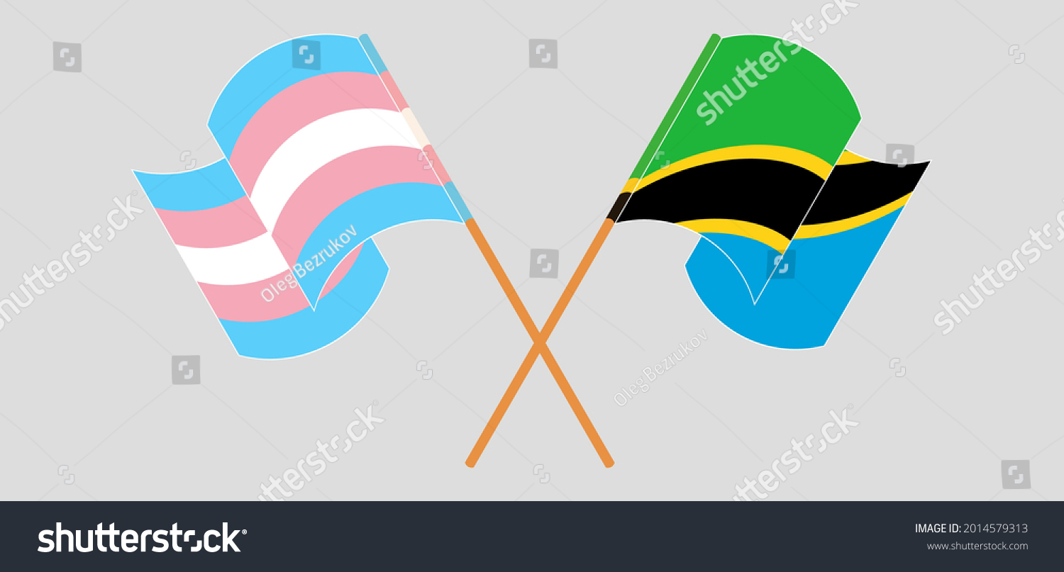 Crossed And Waving Flags Of Transgender Pride Royalty Free Stock