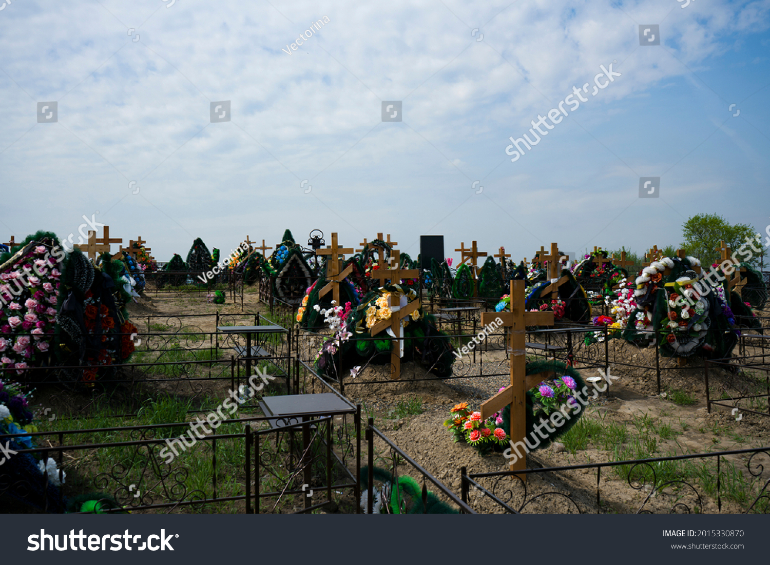 City cemetery with wooden crosses over the graves. Recent burials of people in the cemetery. Commemorative crosses with wreaths. #2015330870