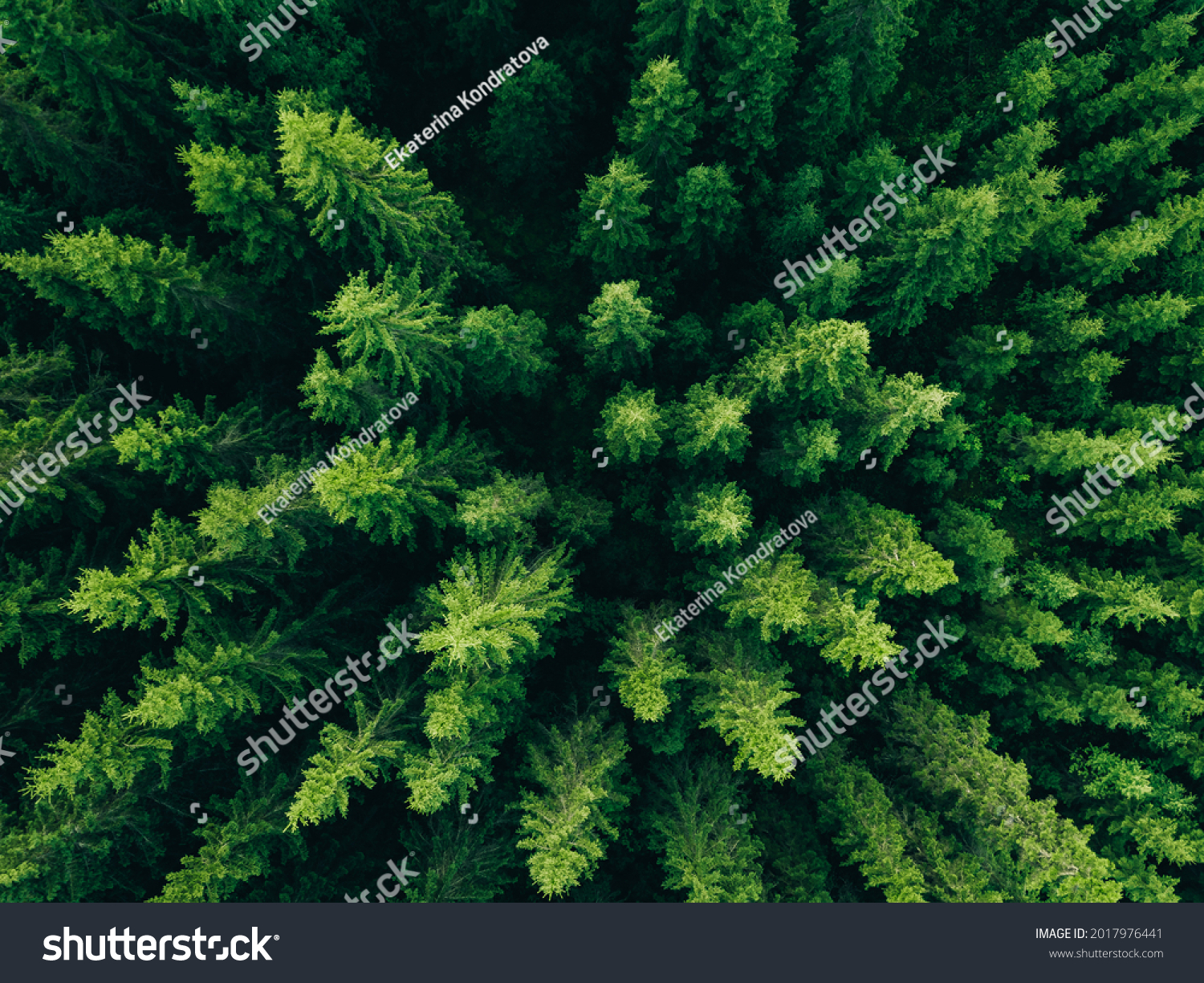 Aerial view of green summer forest with spruce and pine trees in Finland. #2017976441