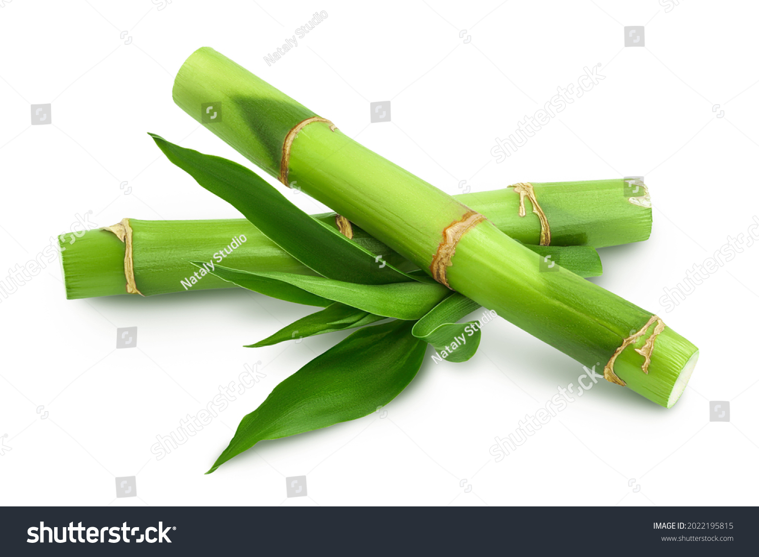 Green bamboo with leaves isolated on white background with clipping path and full depth of field #2022195815