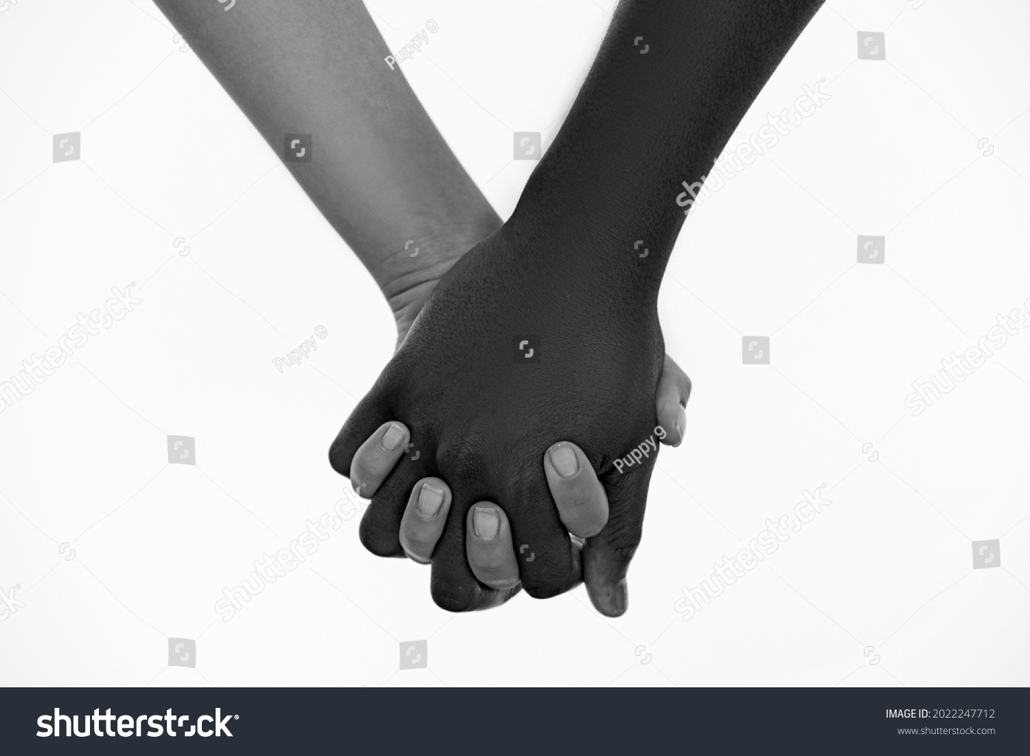 No racism. Black and white human hands in a modern handshake to show each other friendship and respect. Black and white couple. Handshake, concept of no apartheid. Hands black and white #2022247712