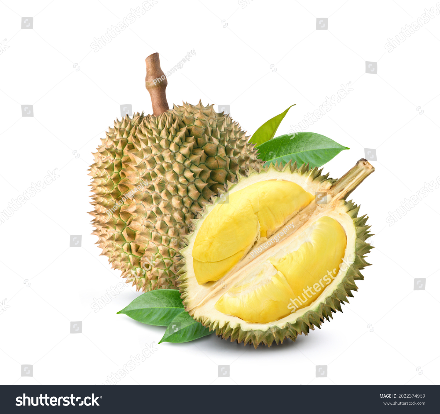 Durian fruit with cut in half and leaves  isolated on white background. #2022374969