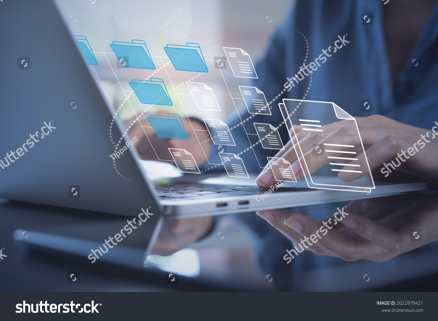 Document Management System (DMS) being setup by IT consultant working on laptop computer in office. Software for archiving, searching and managing corporate files and information #2022979421