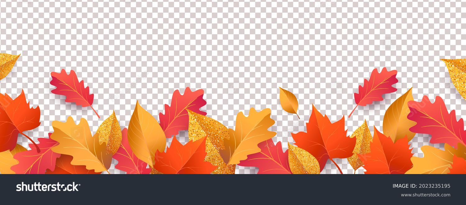 Autumn seasonal background with long horizontal border made of falling autumn golden, red and orange colored leaves isolated on background. Hello autumn vector illustration #2023235195