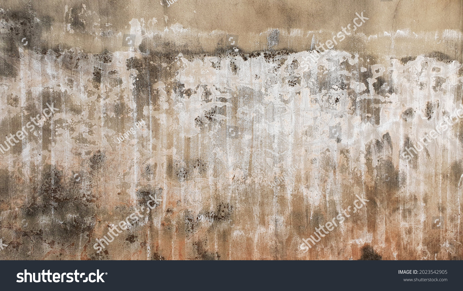 White and grey old wall with shabby damaged plaster - cement background of a vintage dirty exfoliating plaster textured background peeling of color wallpaper cement #2023542905