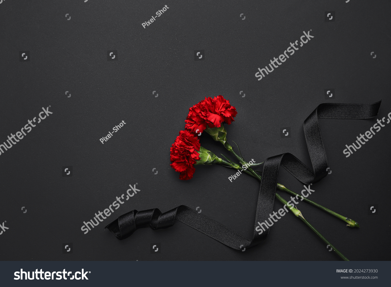 Black funeral ribbon with carnation flowers on dark background #2024273930