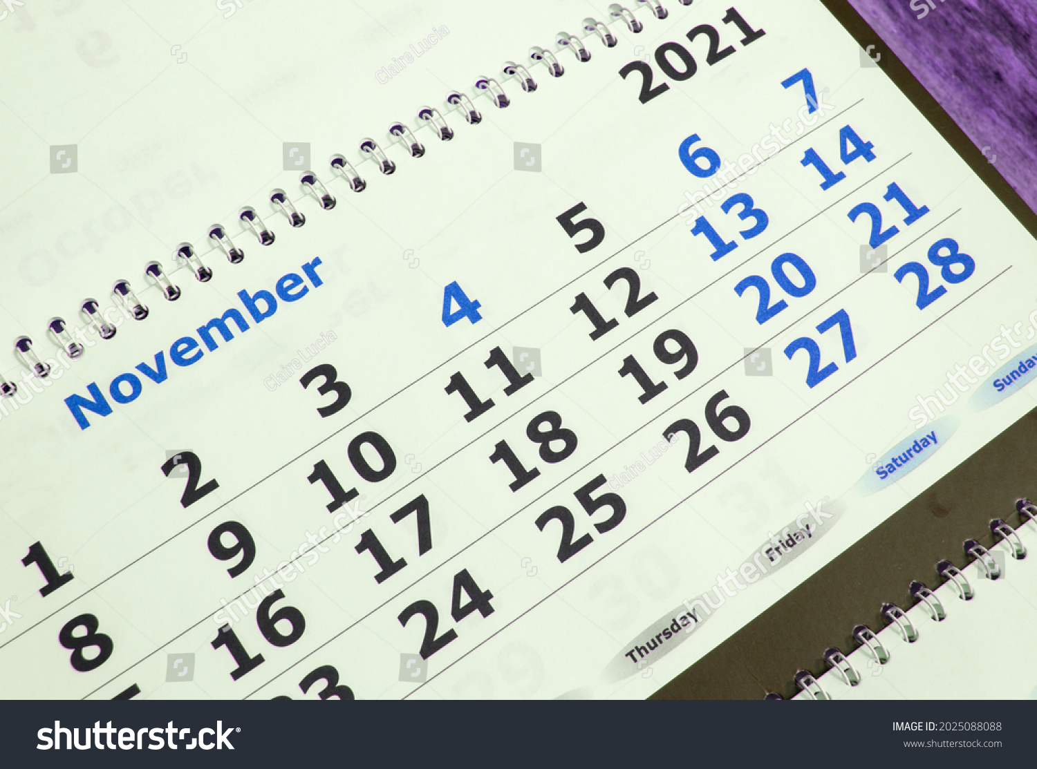 November 2021 on the calendar page, wall calendar, business planning concept. #2025088088