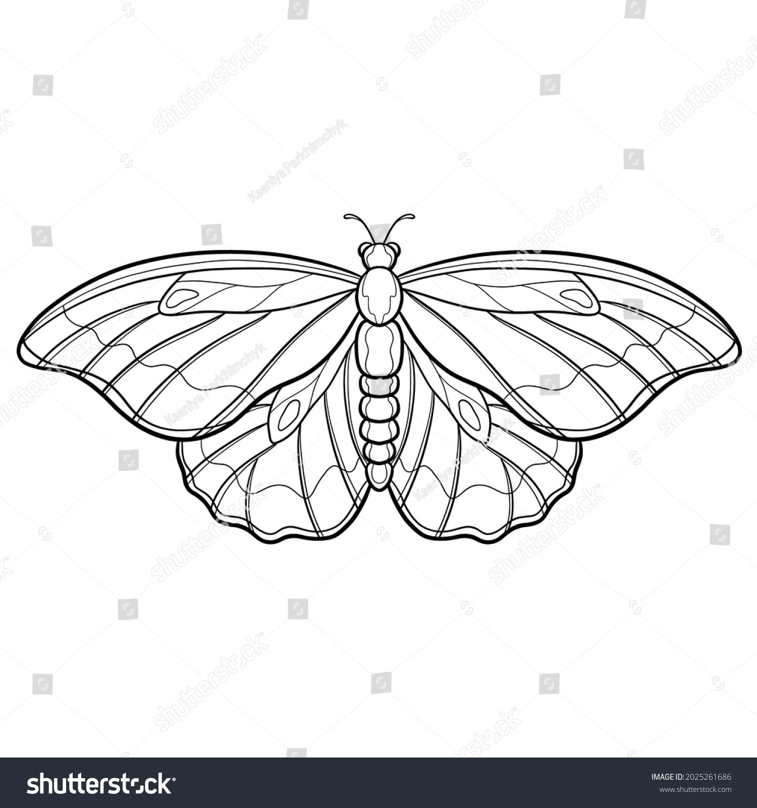 Hand drawn ornamental butterfly outline - Royalty Free Stock Vector ...