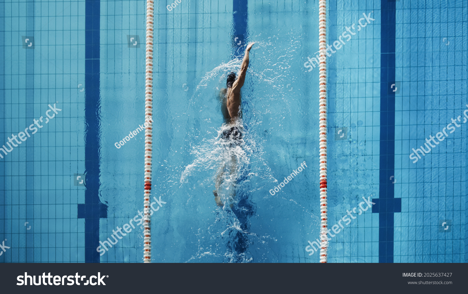Aerial Top View Male Swimmer Swimming in Swimming Pool. Professional Athlete Training for the Championship, using Front Crawl, Freestyle Technique. Top View Shot #2025637427