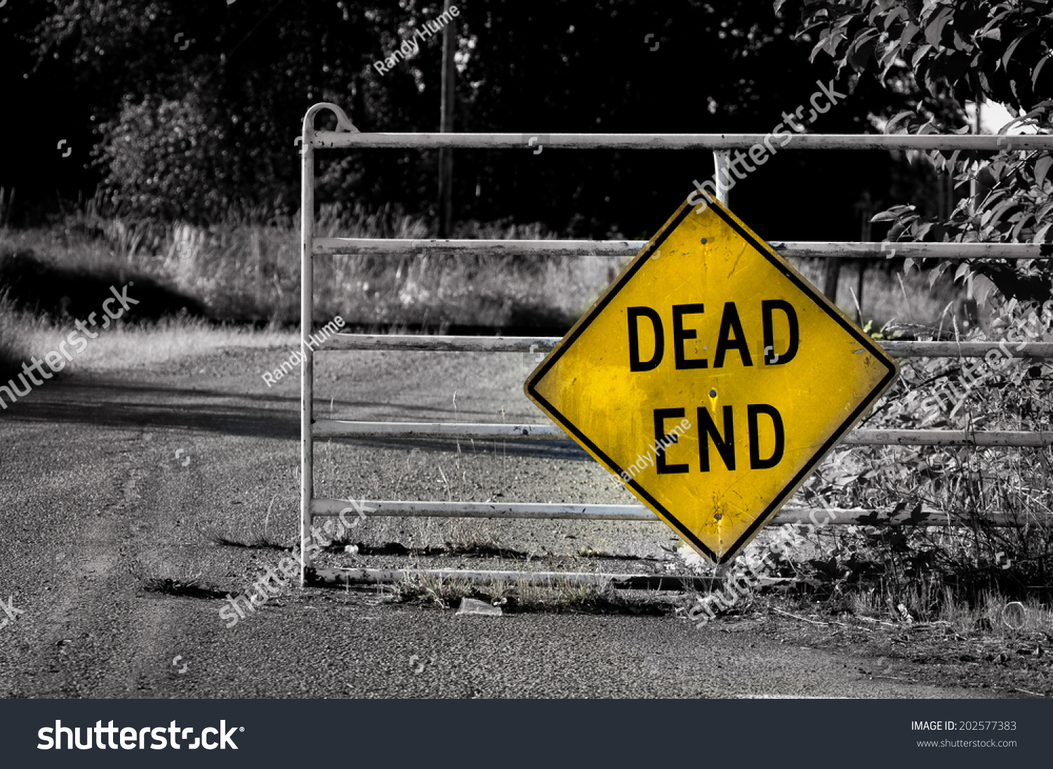 Dead End #202577383