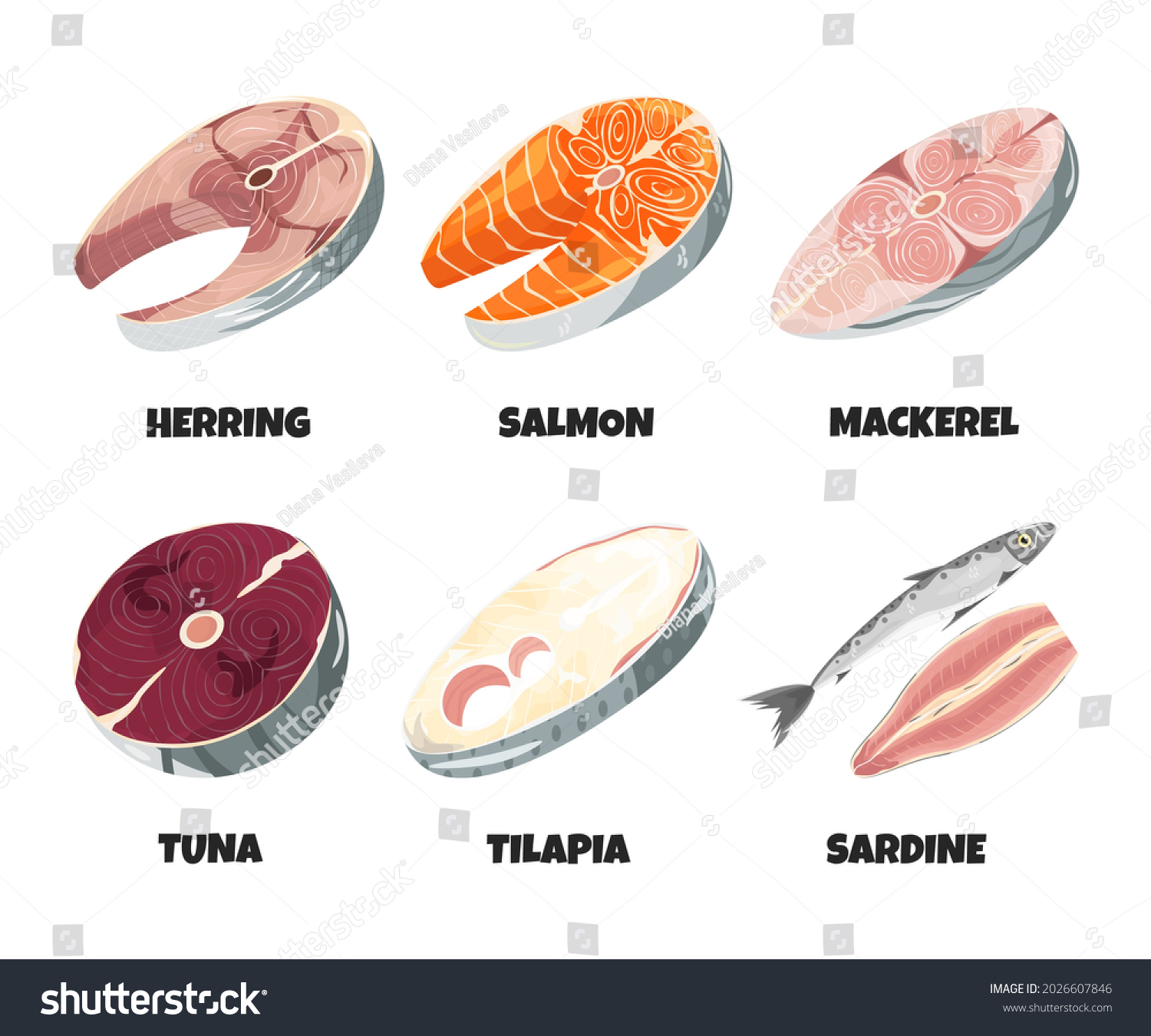 Raw fresh fish steak collection isolated on white. Realistic trout, herring, sardine, mackerel, tuna, tilapia fillet, seafood product with omega, design element set. Vector cartoon flat illustration #2026607846