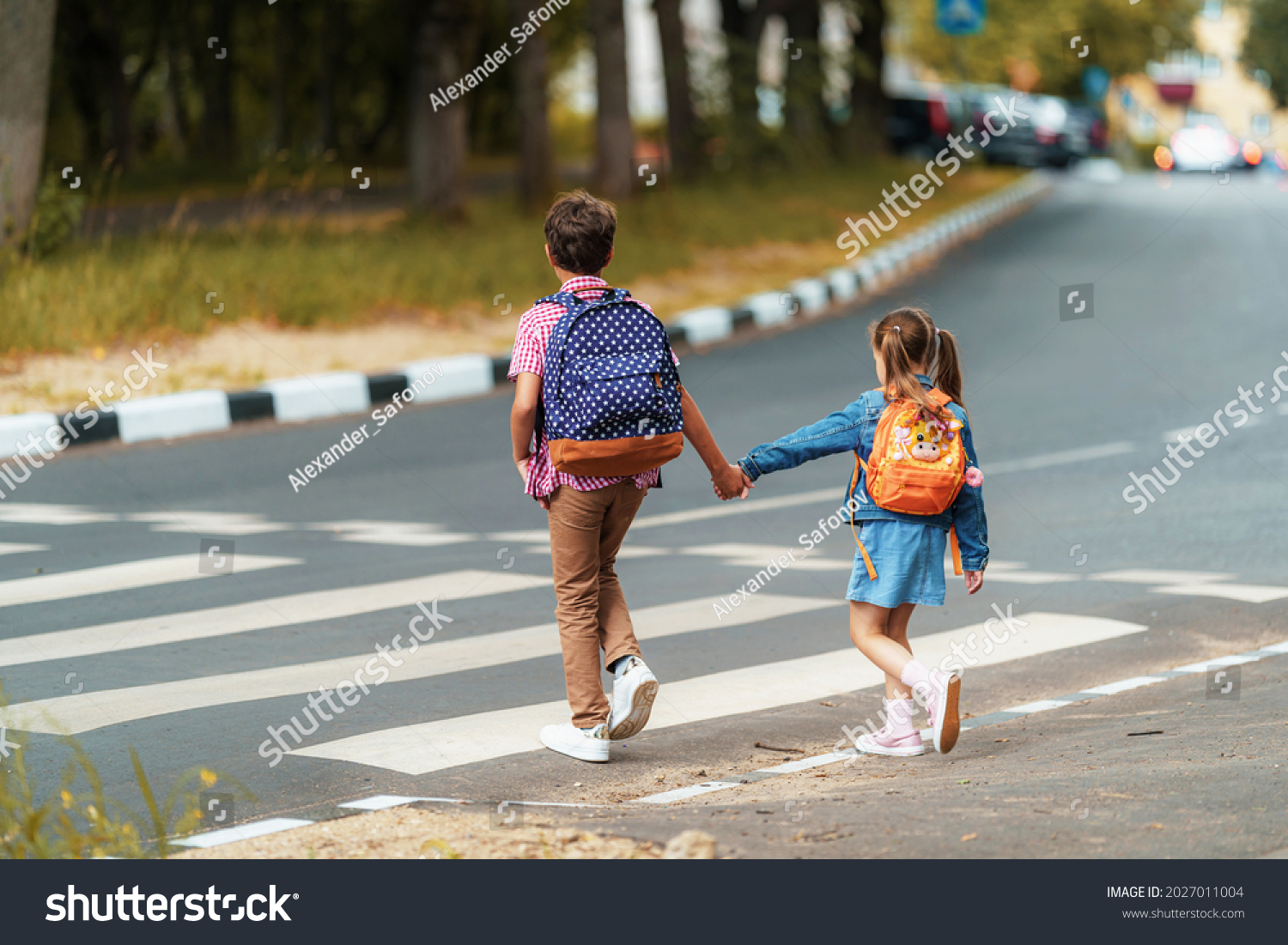 girl and boy with backpacks carefully cross road on pedestrian crossing on their way to school. Traffic rules. Walking path along zebra in city. concept of pedestrians crossing pedestrian crossing. #2027011004