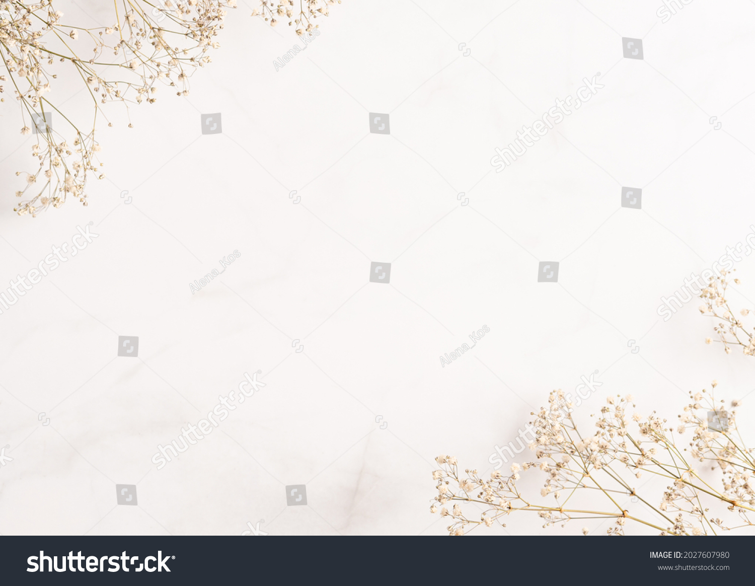 Gypsophila (baby breath flower) background. Frame for text made of dried white wedding flowers. Copy space. Pastel colors. Top view. Flat layout template. Card design. #2027607980