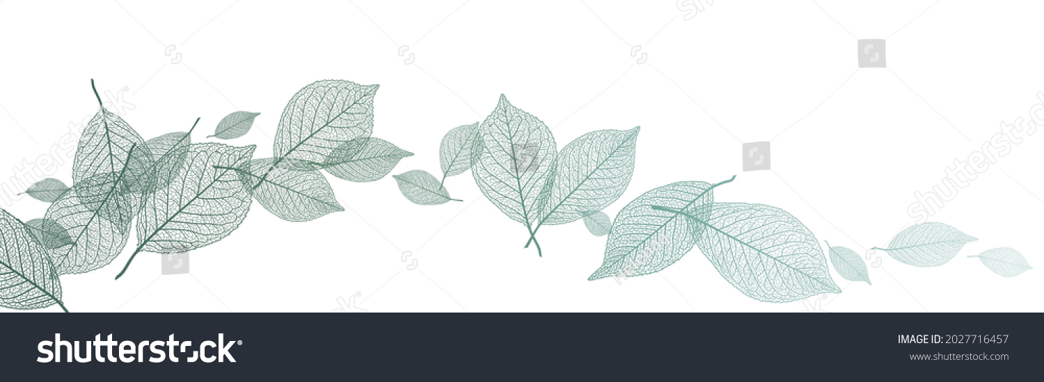 Beautiful background with leaves vein. Vector illustration. #2027716457